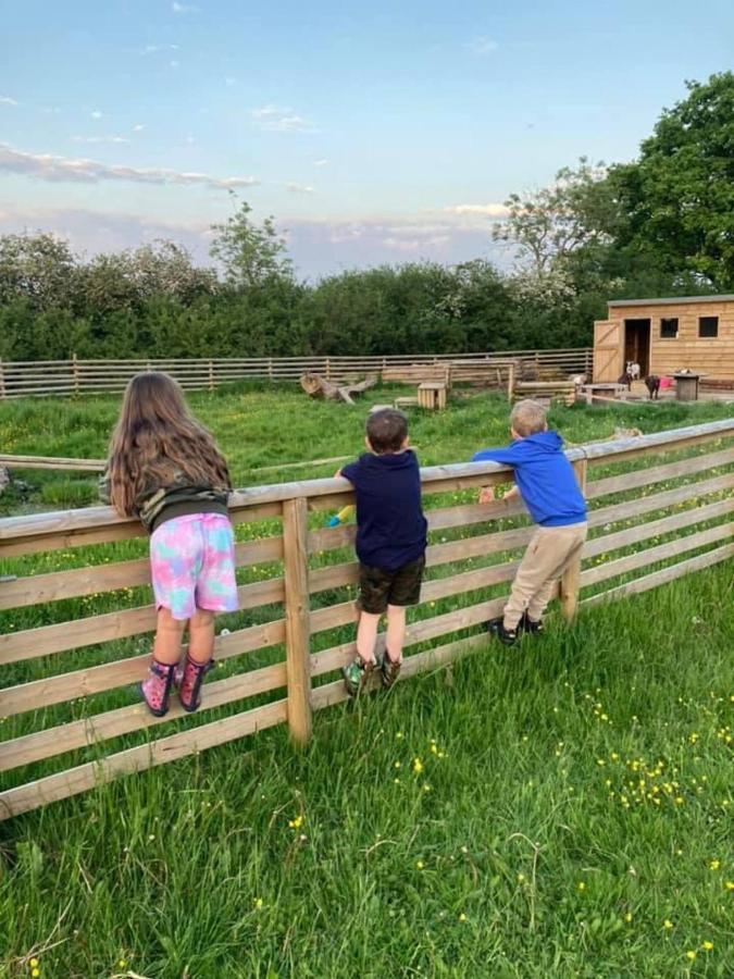 Holiday home Beech Pod Cabin In Beautiful Surroundings Wrexham